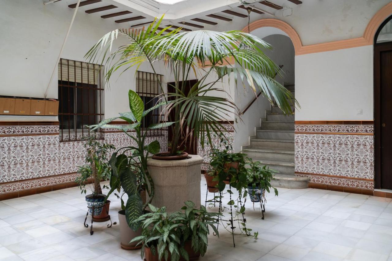 Apartment Aire Del Sur *